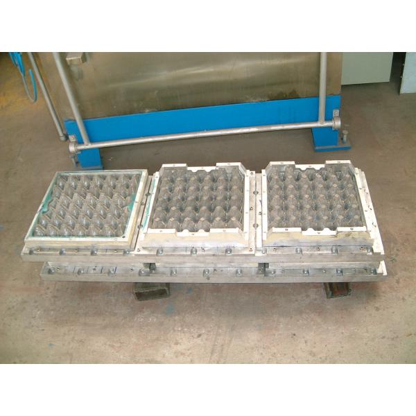 Quality Free Moulding Pulp Egg Tray Machine Heavy Weight High Effective for sale