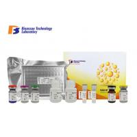 China N-Methyl-D-Aspartate Receptor 1 Sandwich ELISA Kit Human High Precision With Oem Service factory