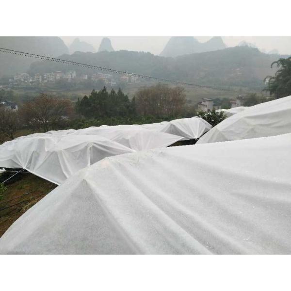 Quality 100% PP Nonwoven White Extra Width Non Woven Landscape Fabric Biodegradable For for sale