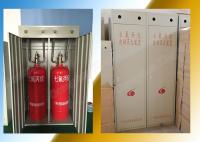 China Red 100L Hfc227ea FM200 Cabinet System Factory Direct Quality Assurance Best Price factory
