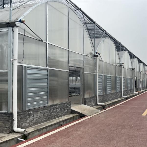 Quality Strong Structure Heavy Duty Plastic Greenhouse / Plastic Tomato Greenhouse for sale