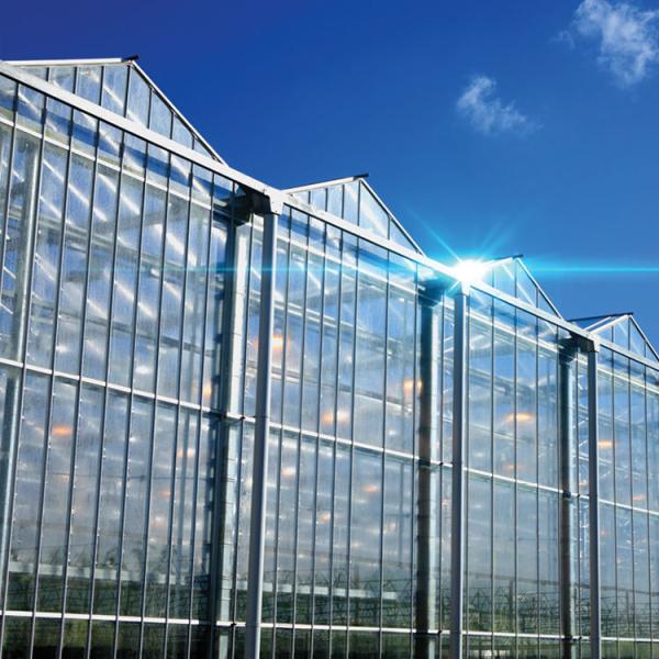 Quality 8mm Float Glass Venlo Glass Greenhouse Hydroponic System Double Layer for sale