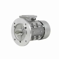 Quality 2800 Rpm 3 Phase Single Phase Squirrel Cage Induction Motor 960 Rpm 900 Rpm for sale