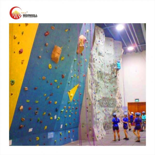 Quality Auto Belay Rope Climbing Wall Artificial Kids Mobile Rock Climbing Wall for sale