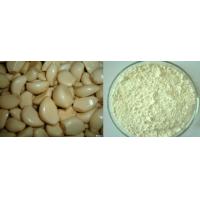 China Factory Supply High Quality Garlic Oil extract Alliin 50%powder factory
