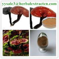 China reishi mushroom series: Reishi slices, Reishi Mushroom Extract polysaccharide 20% triterpenoids1% , Manufacture factory