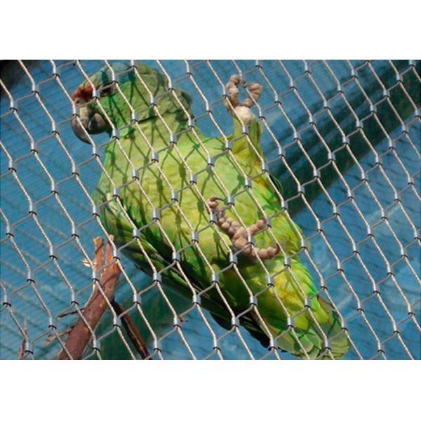 Quality Ferruled Stainless Steel Bird Aviary Wire Mesh Netting for sale