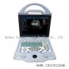 China 2 ultrasonic transducer Portable3D Color doppler ltrasound Scanner  portable ultrasound machine for pregnancy factory