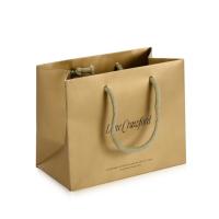 China Recyclable Luxury Branded Paper Bags , Custom Printed Paper Shopping Bags factory