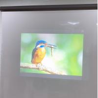 China Holographic Self Adhesive Rear Projection Window Film Hologram 3D Display factory
