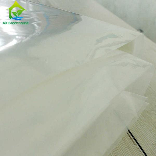 Quality Transparent 200 Mirco Greenhouse Cover Materials Multispan Greenhouse Plastic Film for sale