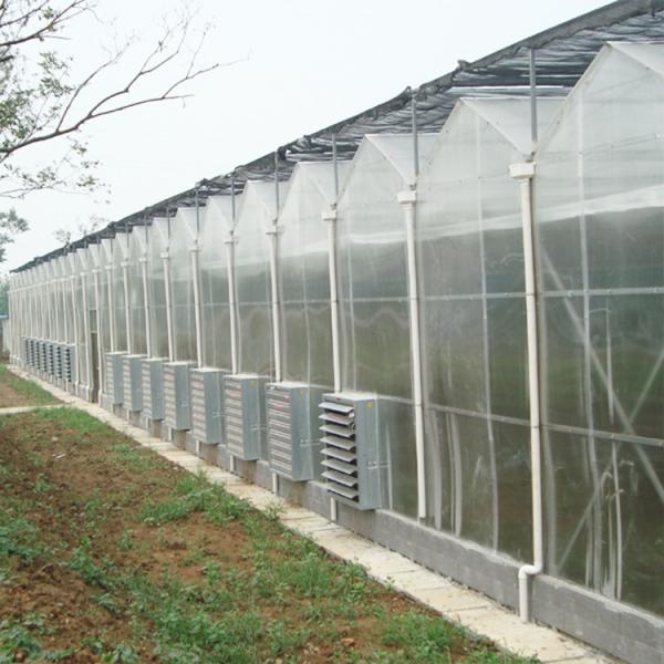 Quality Commercial Polycarbonate Sheet Greenhouse / PC Sheet Greenhouse Customized for sale