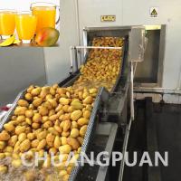 China 10000KG Concentrated Mango Pulp Processing Line For Smooth Pulping Performance factory