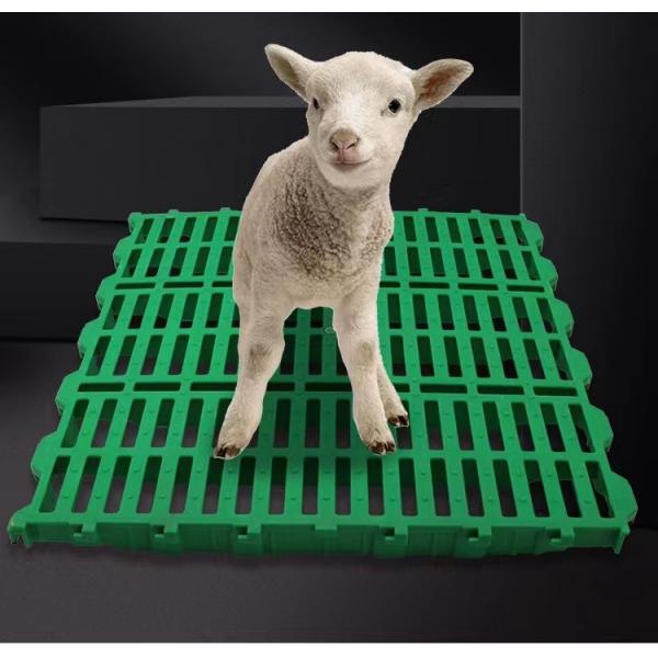Quality Sheep Farm Pure PP Plastic Slatted Floor Washable Easy To Install for sale