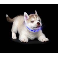 China Adjustable Reflective Bling Fancy Light Up Waterproof Luxury Designer PVC Custom Led Pet Silicone LED Dog Cat Collar factory