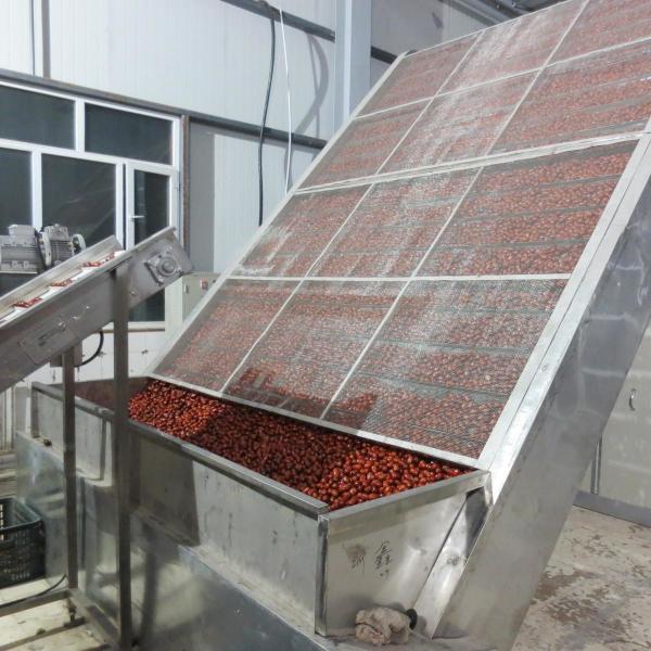 Quality HengShou PLC 1840mm Belt Drying System For Pepper Preset Thermostatical Control for sale