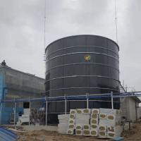 China Biogas Production Project From Poultry Waste Prefabricated Biogas Plants for sale