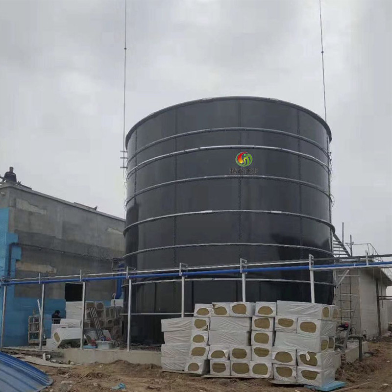 China home made biogas digester food waste biogas plant Project factory