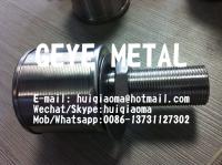 China Stainless Steel Wedge Wire Screen Nozzles Filter, Johnson Screen Metal Water Filter Nozzles,Non Clogging factory