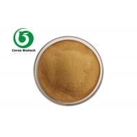 China Natural Weight Loss Nuciferin 98% Lotus Leaf Extract Powder factory