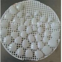 China Upgrade Your Polishing Game with Smooth Surface Texture Cosmetic Teeth Covers factory