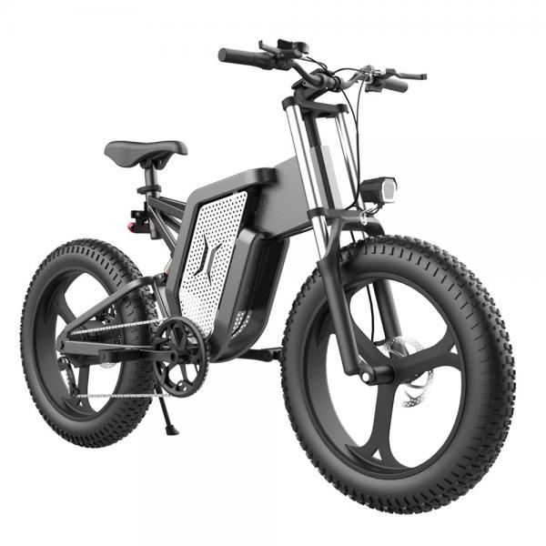 Quality Latest 10AH 15AH 20AH Battery Ridstar Electric Bike Travel Electric Downhill Bicycle for sale