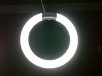 China 9w smd led ring light 、g10q led ring lamp 9w 、9w led circular tube 、led circle lamp 170mm factory
