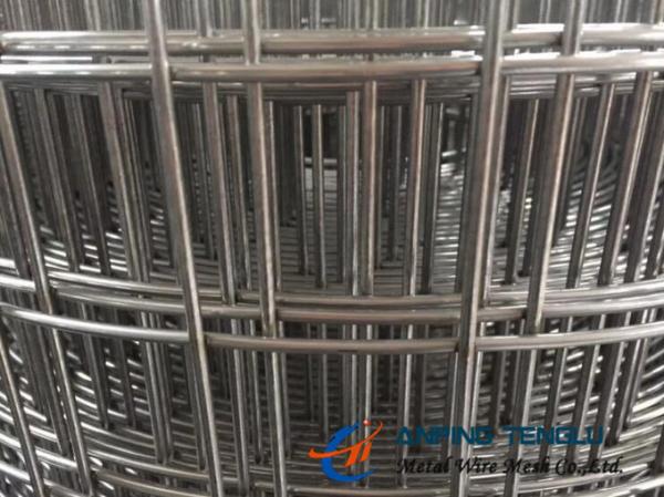 AISI316, AISI316L Weled Wire Mesh, Used in Coastal City or Sea Water
