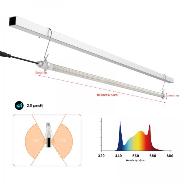 Quality Interlight Greenhouse LED Grow Light For High Wire Crops Boost Yield for sale