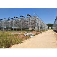 China Integrated Tunnel Polycarbonate Agricultural Greenhouse factory