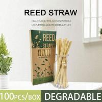 china Bestseller 2019 Biodegradable Compostable Straw Drinking, Biodegradable Reed Straws