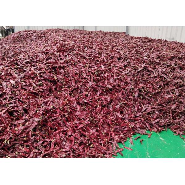 Quality Dehydrated Cherry Red Guajillo Chilis 13CM Dried Long Red Chillies 100 SHU for sale
