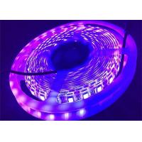China Purple UV 12v 24v Purple Led Light Strip 395nm UV Led Tape 5050 Smd factory