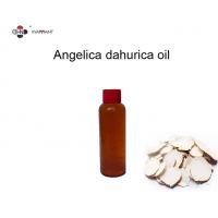 China Herbal Aroma Angelica Dahurica Natural Essential Oils factory