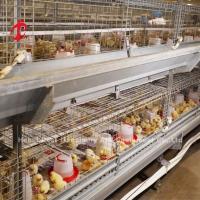 Quality Full Automatic Poultry Farming Cage System Anti Corrosive In Nigeria Rose for sale
