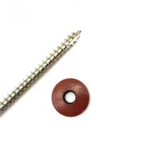 China Aisi 316 SS Stainless Steel Chipboard Screws , A4 Torx Pan Painted Head Chipboard Screw T17 factory