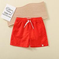 China Boys shorts summer cotton thin section baby shorts beach pants casual pants factory