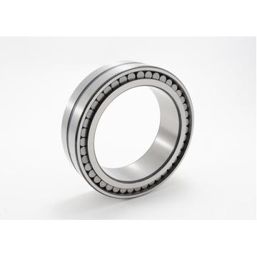 Quality No Cage Double Row Full Complement Cylindrical Roller Bearings SL02 4912 SL02 for sale