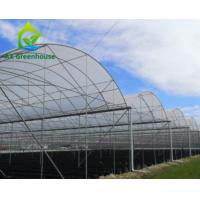 Quality 200micro PO PE Plastic Film Greenhouse Four Seasons Green House 6m 12m Span for sale