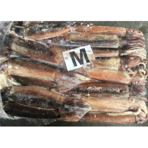 Quality 250g Fresh Frozen Squid for sale