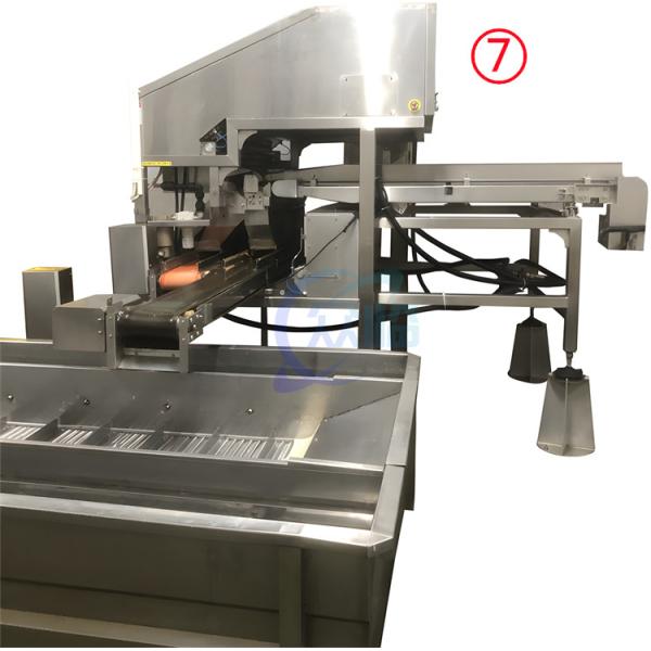 Quality Stable 380V Seafood Processing Plant , Multipurpose Shrimp Deheading Line for sale