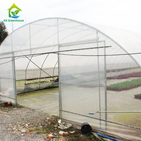 Quality Polycarbonate Poly Tunnel Greenhouse Edible Mushroom Industrial Hemp Greenhouse for sale