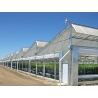 Quality Multi Span Plastic Film Greenhouse 10X30m With Zinc Coating Frame for sale
