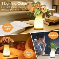 China Home Decoration LED Vase Table Light With Breathing Light Good Gift For Children factory