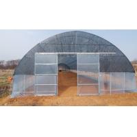China HDPE Covering Tunnel Greenhouse Single Span Greenhouse Humidity 50%-90% factory