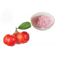 China Vitamin C 17% 25% Acerola Cherry Natural Fruit Extract Powder factory