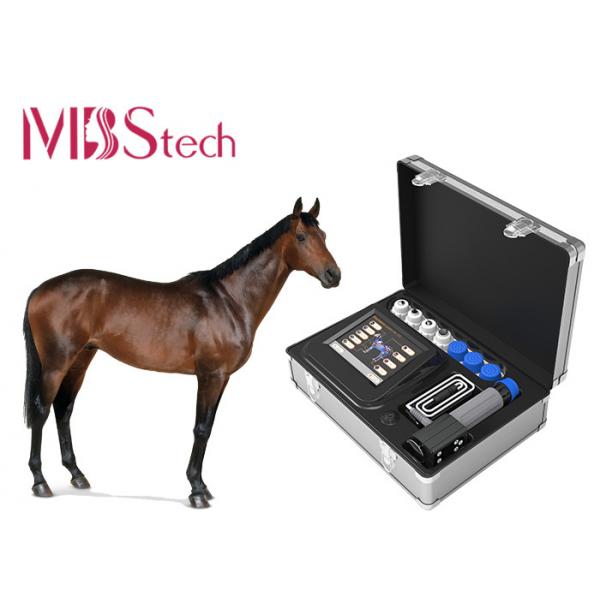 Quality Carry Box ESWT Shockwave Therapy Machine For Horses for sale