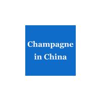 China Product And Brand Marketing Of French Champagne On The Internet In China factory