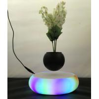 China led light magnetic floating levitating air bonsai tree plant Floating Pot for sale
