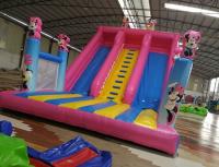 China giant inflatable slide for sale inflatable water slides infatable pool slide For Children Party Games factory